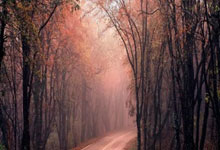 C7体育：CBA：广厦赢下“浙江德比” 孙铭徽、布朗携手制胜中国新闻网.