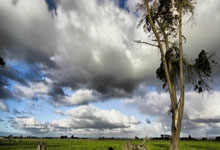 C7体育：[天下足球]桑乔突破造点 多特客场大胜科隆.