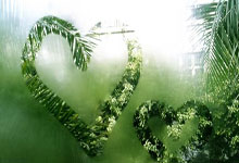 2025无锡马拉松鸣枪开跑.