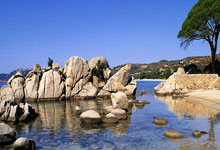 C7体育：CBA：广厦赢下“浙江德比” 孙铭徽、布朗携手制胜中国新闻网.